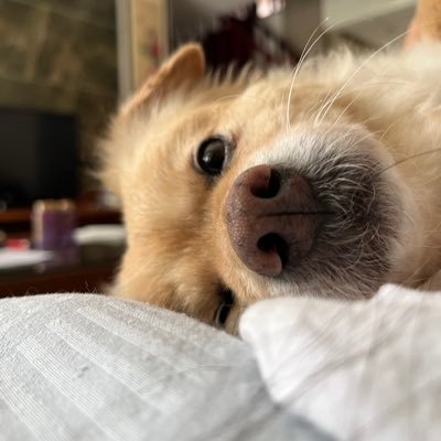 Demure314's profile picture. 4i 当日记本写