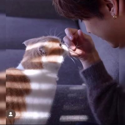 q3tjSVXAaK688's profile picture. 