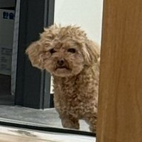 ㅇㅅㅇ (@jadeyeollipop) 's Twitter Profile