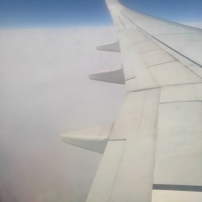 (مسلم) مِلَّةَ إِبْرَاهِيمَ حَنِيفًا وَمَا كَانَ مِنَ الْمُشْرِكِينَ