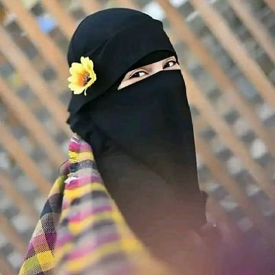 تازه ټویټر ته راغلې یمه فالو مي کړه فالو بیک شته ان شاءالله