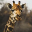 Colin Orton - @colinorton07 - Twitter