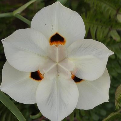 BluMar82's profile picture. 