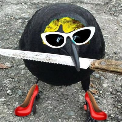 MValentin69171's profile picture. 