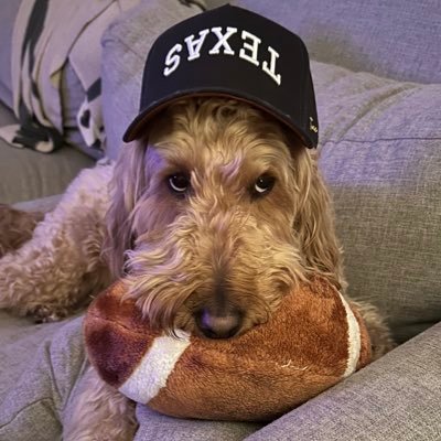 Indians14NY's profile picture. Indians14 on discord