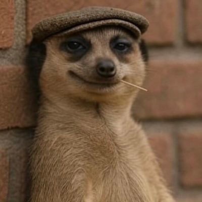 Bigsaint224's profile picture. Web3 Developer/ Crypto Freak/ Project Tester 🔧/ Electronics lover/