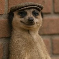 Yo_i am yommy (@hanny365) 's Twitter Profile
