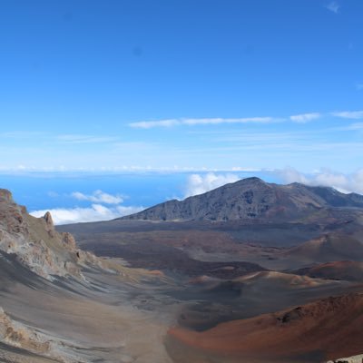 C_HorsTwit's profile picture. boo