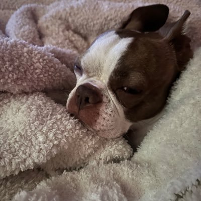 csmcg5432's profile picture. strong opinions -book writer