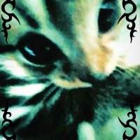 ⭐ v o i d ⭐ (@puppets_bl00d) 's Twitter Profile