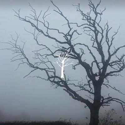 limerence08_'s profile picture. 