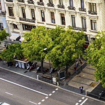 KRNovember2021's profile picture. 