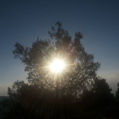 AbcdefghiMh's profile picture. 🇯🇴Jordan boy 🙎🏻‍♂️ 🔥
 24year.... .