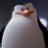 Profile image of ADONIS🐧