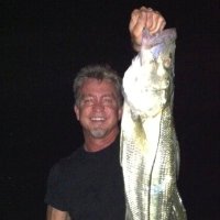 OneAmericanTribe (@brianwh06692613) 's Twitter Profile