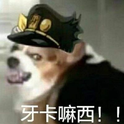 liu1358244's profile picture. 