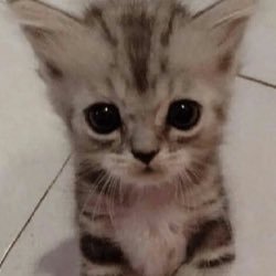 lowprofilewlw's profile picture. 