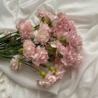 Ameera. (@maa2_o) 's Twitter Profile