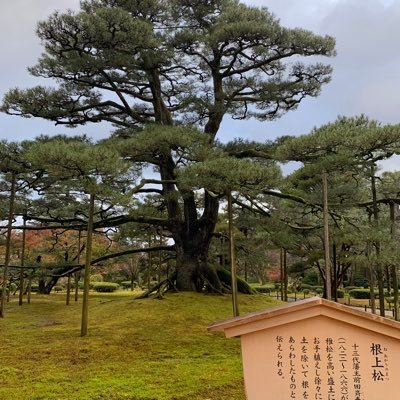ZPJxr5Z5ZQcWrTM's profile picture. 27歳大阪在住 エンジニアやっとります 毎日やんねんちゃんとやんねん