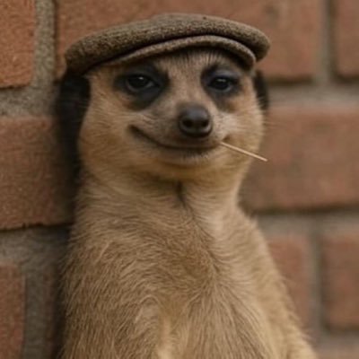 _ogwa's profile picture. Up the Chels | Sad lad | Broke bloke