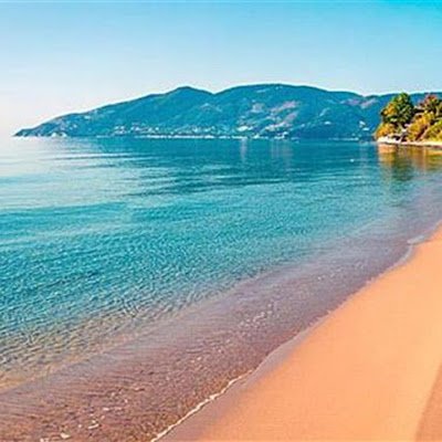 demoulas48178's profile picture. 