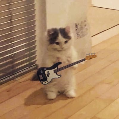zulimorales59's profile picture.