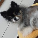 choiwonsang2003's profile picture. @choiwonsang2003