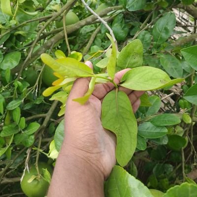 backtosabbir's profile picture. Hello World