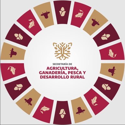 Somos el órgano encargado de promover y fomentar el desarrollo agrícola, forestal, ganadero, pesquero, así como del manejo de los recursos naturales en Guerrero