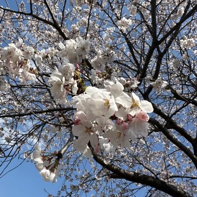 OcTzy1's profile picture. 