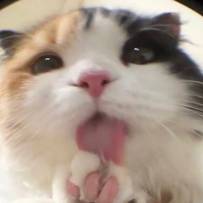 frapaさんのプロフィール画像