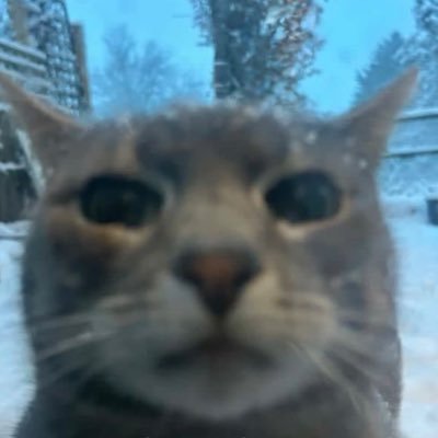 007x420's profile picture. almost 30