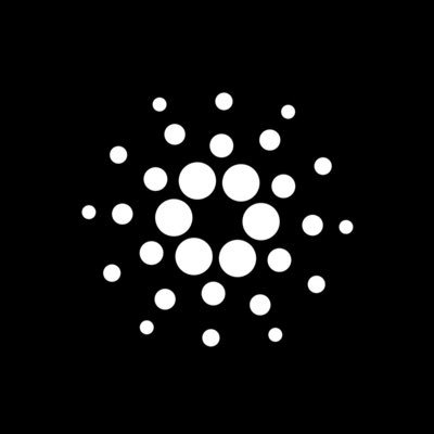 Cryptocurrency lover, but above all a faithful follower of Cardano, the future of decentralization!!!