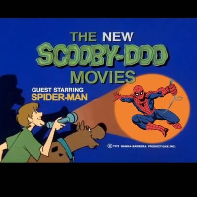 Your friendly neighborhood collectors 👫 • Marvel☆Spider-Man•Daredevil☆Scooby-Doo☆Darkwing•DuckTales☆Simpsons•Futurama☆CloneWars•Mando