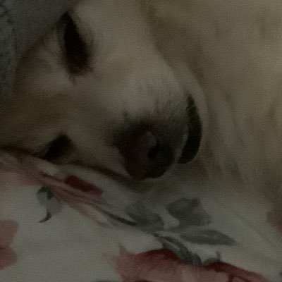 Tellez29260A's profile picture. 