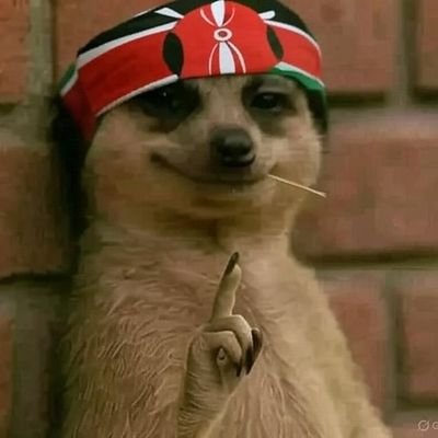 peter_kamau23's profile picture. 