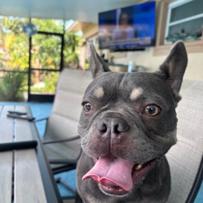 SgtJp061's profile picture. 