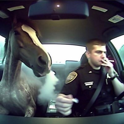 ape_baja's profile picture. Professional UFC better. Chess Elo 780