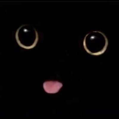 \Alley_Cat/さんのプロフィール画像