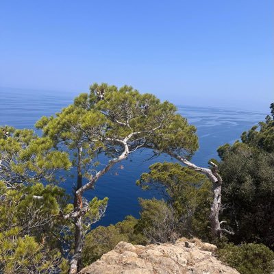 GinPlaqtp's profile picture. 