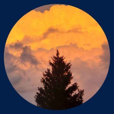 realentlessly's profile picture. Realentlessly Hopeful, LLC