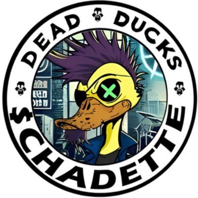 CryptoSako1's profile picture. It’s not about the meme, it’s about the team! $Chadette CA 3pGyE8coXwBy8rx71zjtHDRrSA5TvKmuRgqwhK3Xmoon