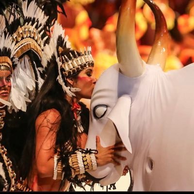 kallvermelhou's profile picture. da puraca ❤️