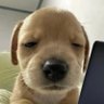 narrmm's profile picture. 