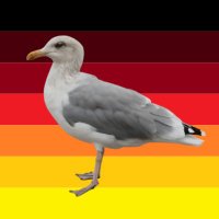 STK (@stk_2205) 's Twitter Profile
