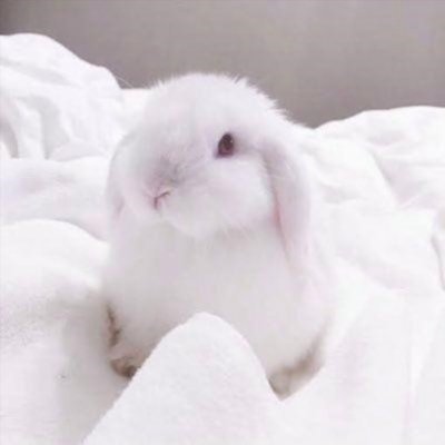 褒められて伸びるタイプのぶす。 心のおちんちん振り回して生きてます(笑)裏垢男子さんと仲良くなるのが夢です。仲良くしてください💟