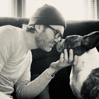 Herman the Frenchie (@hermanfrenchie) 's Twitter Profile
