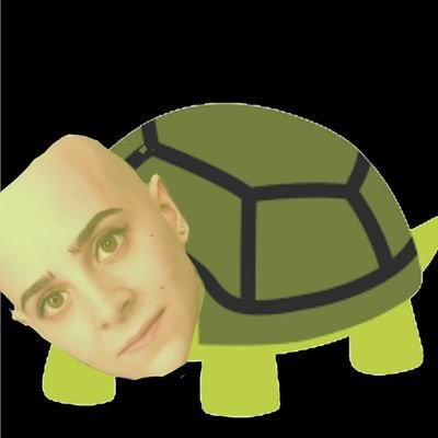 ⚡🐢Tartarugadoraio LOHIKÄÄRME🐢⚡さんのプロフィール画像