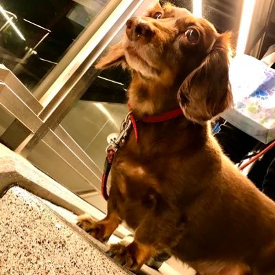 na_ki_0723's profile picture. アニメ好き×特に百合アニメ推し￤ミリプロ推し🎧🤍🦦💛 ⛩️🔅 ￤京アニ好き×P.Aワークス好き￤プロセカ￤ミリプロ好きすぎて最近やばい￤￤￤￤￤社会人2年目は結果を出す年に￤アニメ垢➪インス𝐈𝐧𝐬𝐭𝐚𝐠𝐫𝐚𝐦がメイン是非✨↓