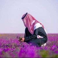 Abu Jwad ⚖️ (@abwjwad80) 's Twitter Profile
